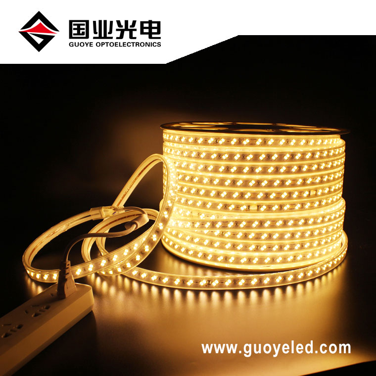 110v 220v led stripelys