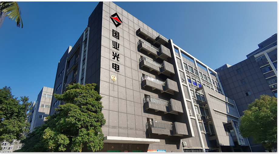 Shenzhen GUOYE OPTOELECTRONICS 2024 ÅR-SLUTT SAMMENDRAG