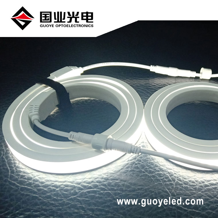 Neon led stripe 220v